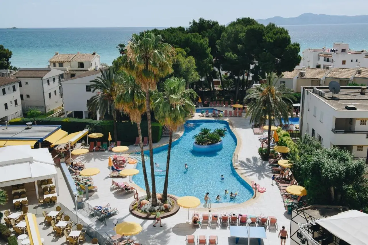 Ivory Playa Hotel. gallery image 1