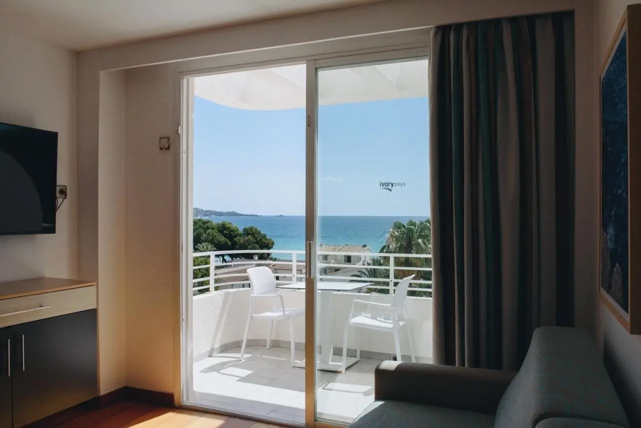 Ivory Playa Hotel. gallery image 11