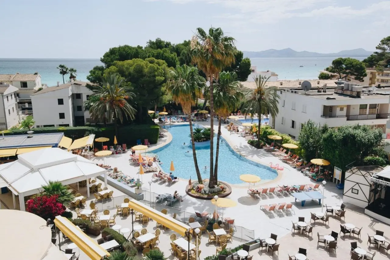 Ivory Playa Hotel. gallery image 2