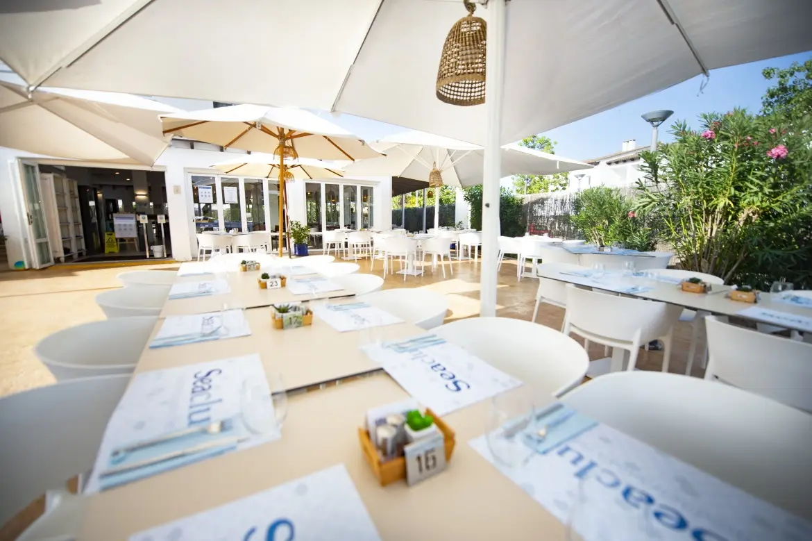 Sea Club Alcudia Mediterranean Resort gallery image 15