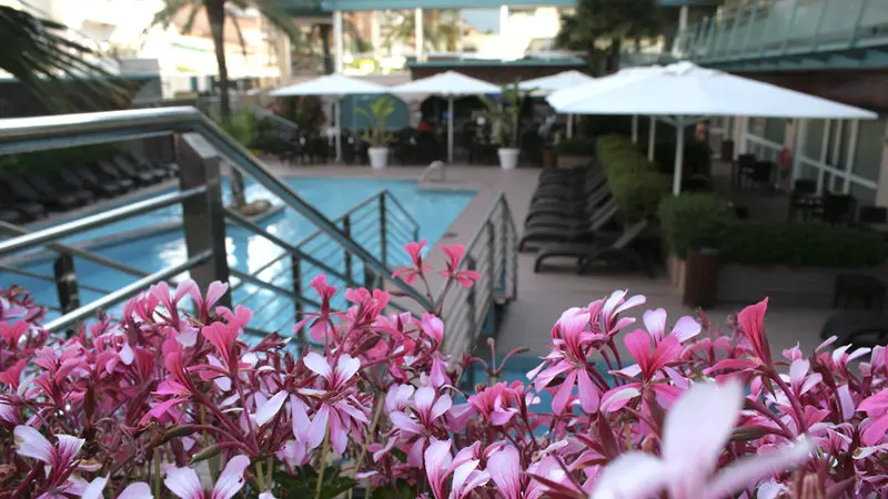 Kaktus Playa Hotel gallery image 2