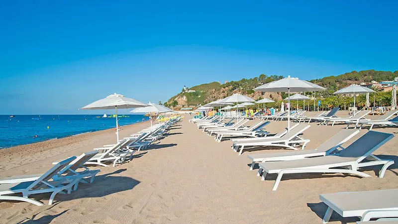 Kaktus Playa Hotel gallery image 13