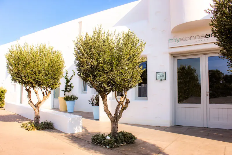 Ammos Mykonos Hotel gallery image 5