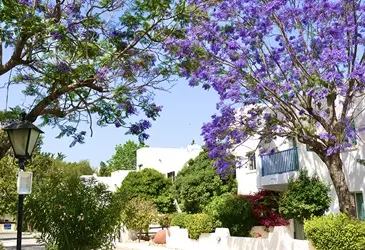 Paphos Gardens Holiday Resort