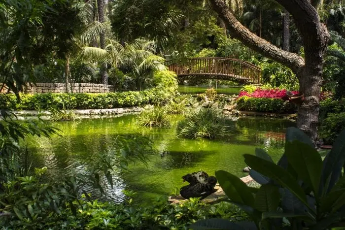 Hotel Botanico & The Oriental Spa Garden gallery image 2