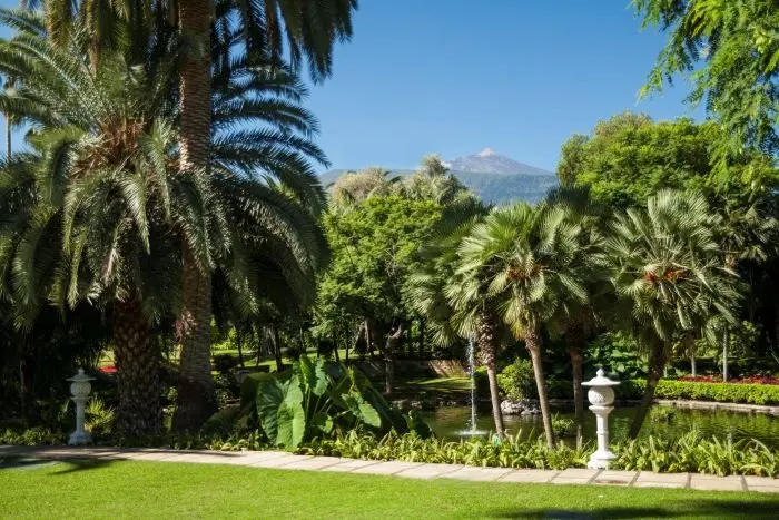 Hotel Botanico & The Oriental Spa Garden gallery image 3
