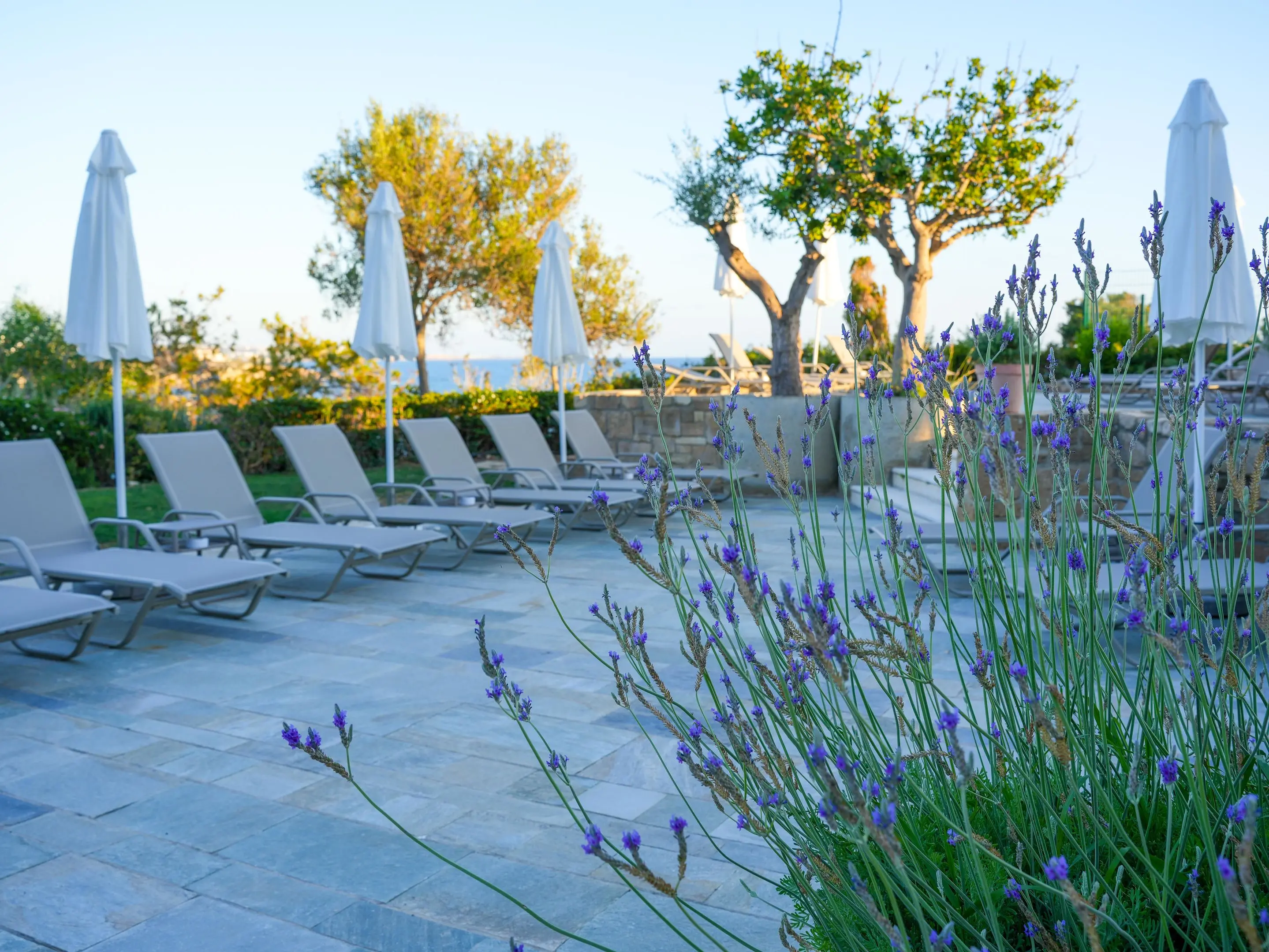 Thalassa Boutique Hotel gallery image 4
