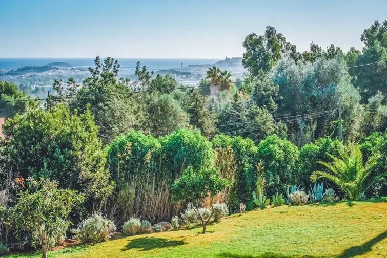 Villa Carmelita
