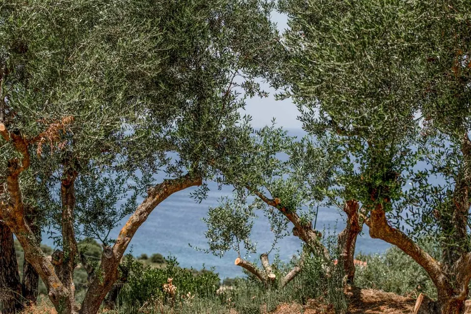 Villa Cossoro Ena