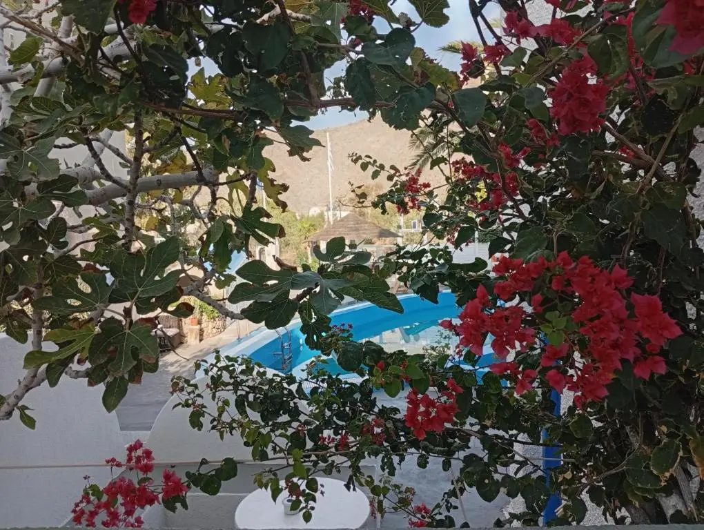 The Best Hotel gallery image 7