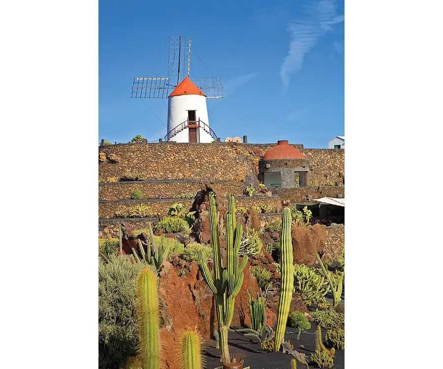 Lanzarote, Canaries gallery image 4