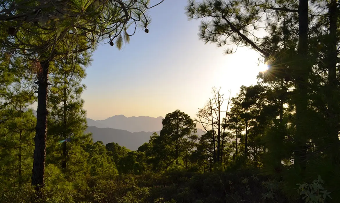 Gran Canaria, Canaries gallery image 14
