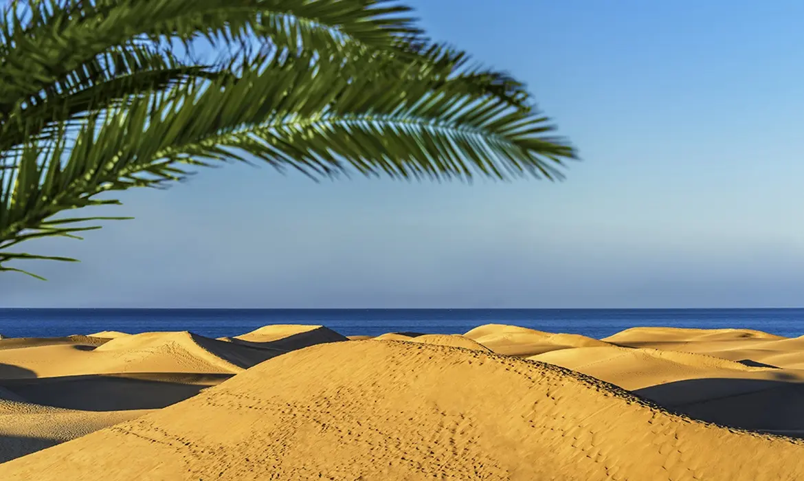 Gran Canaria, Canaries gallery image 6