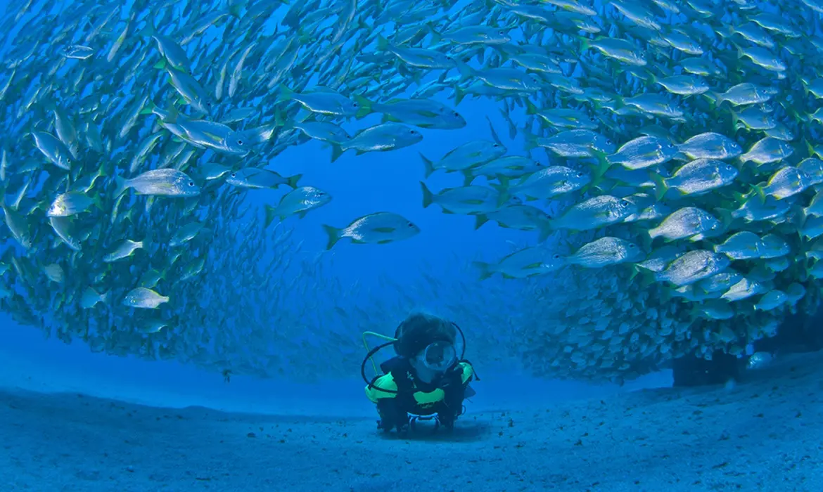 Gran Canaria, Canaries gallery image 7