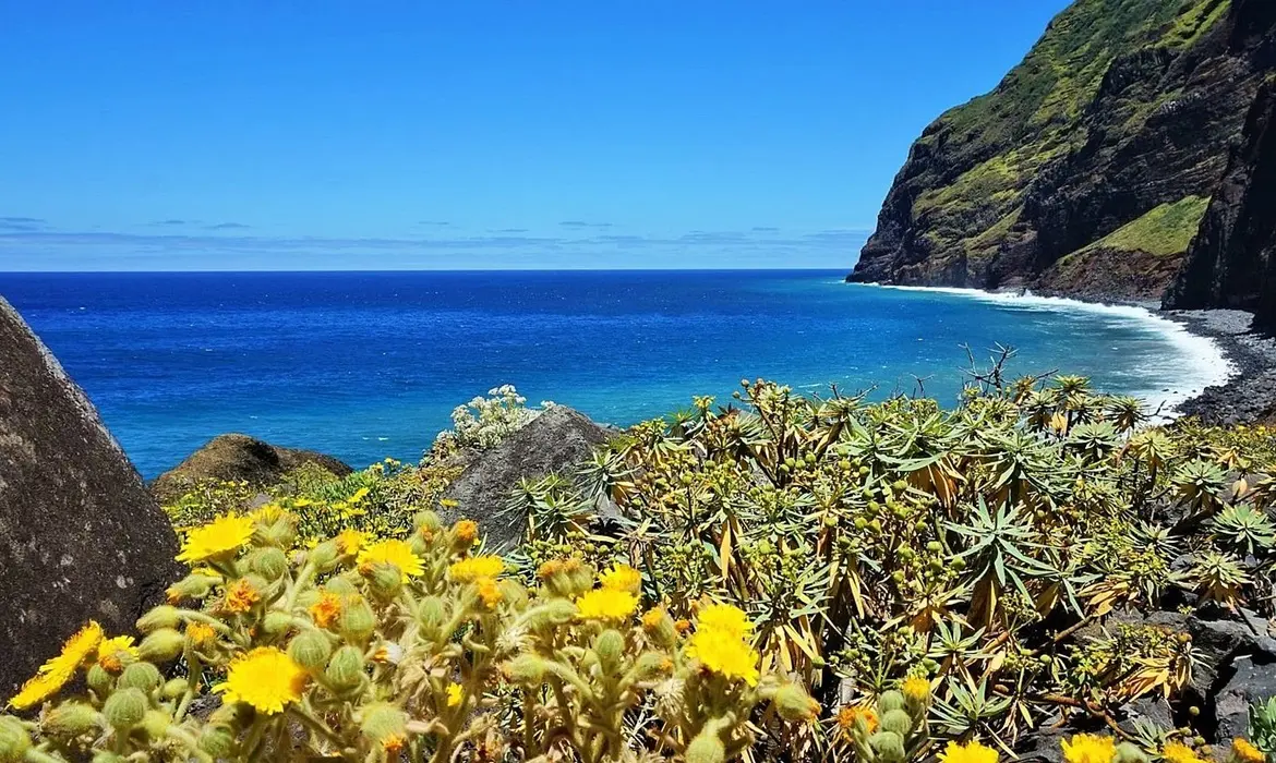 Madeira gallery image 10