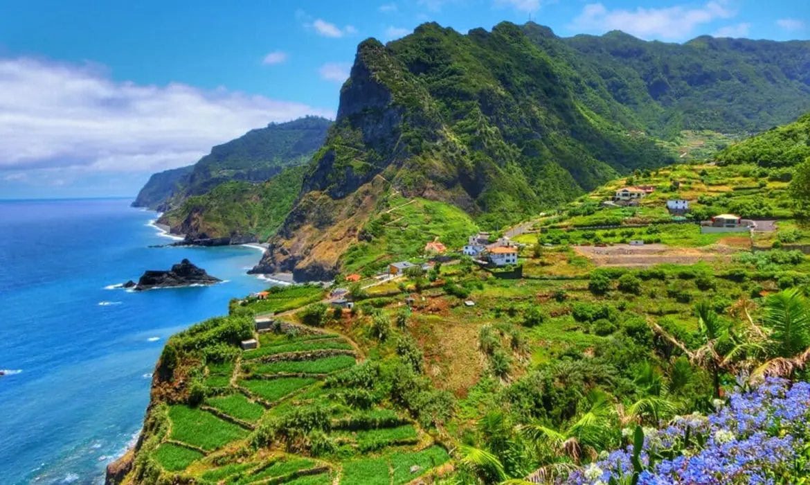 Madeira gallery image 11
