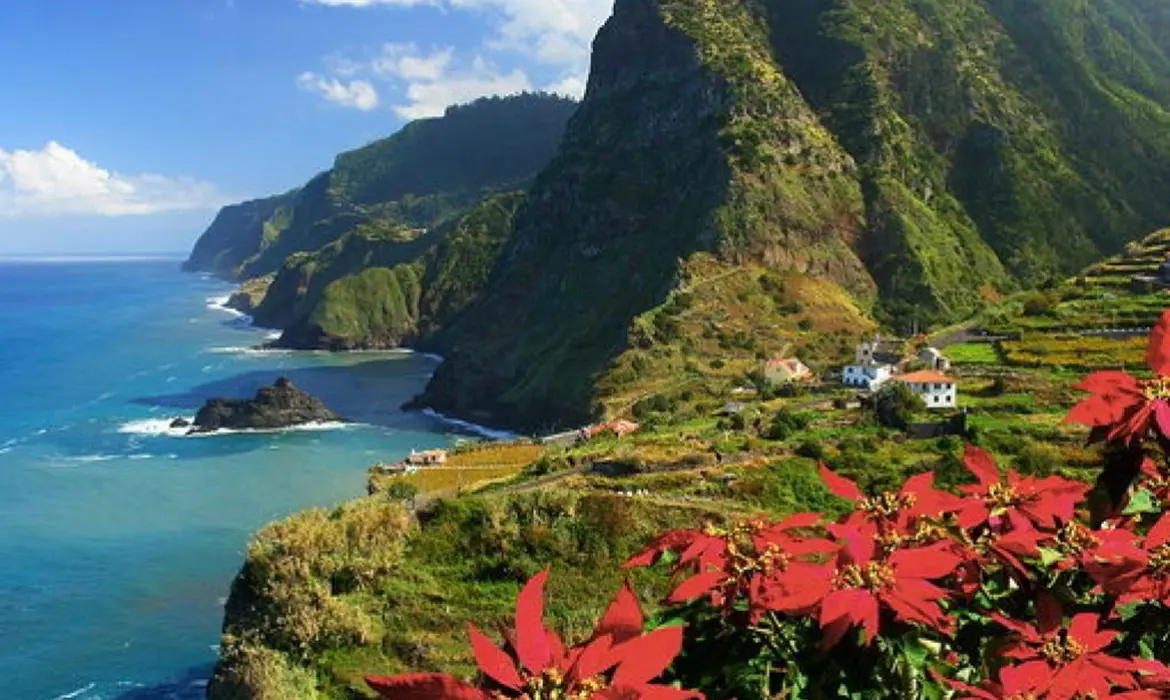 Madeira gallery image 12