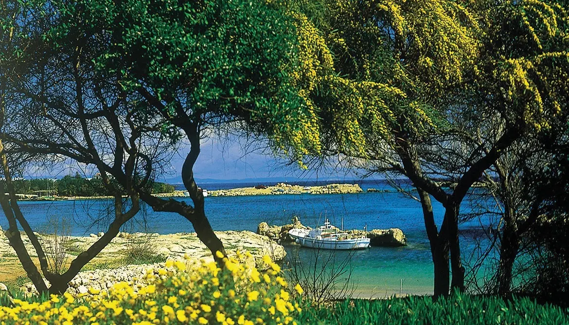 Cyprus gallery image 8