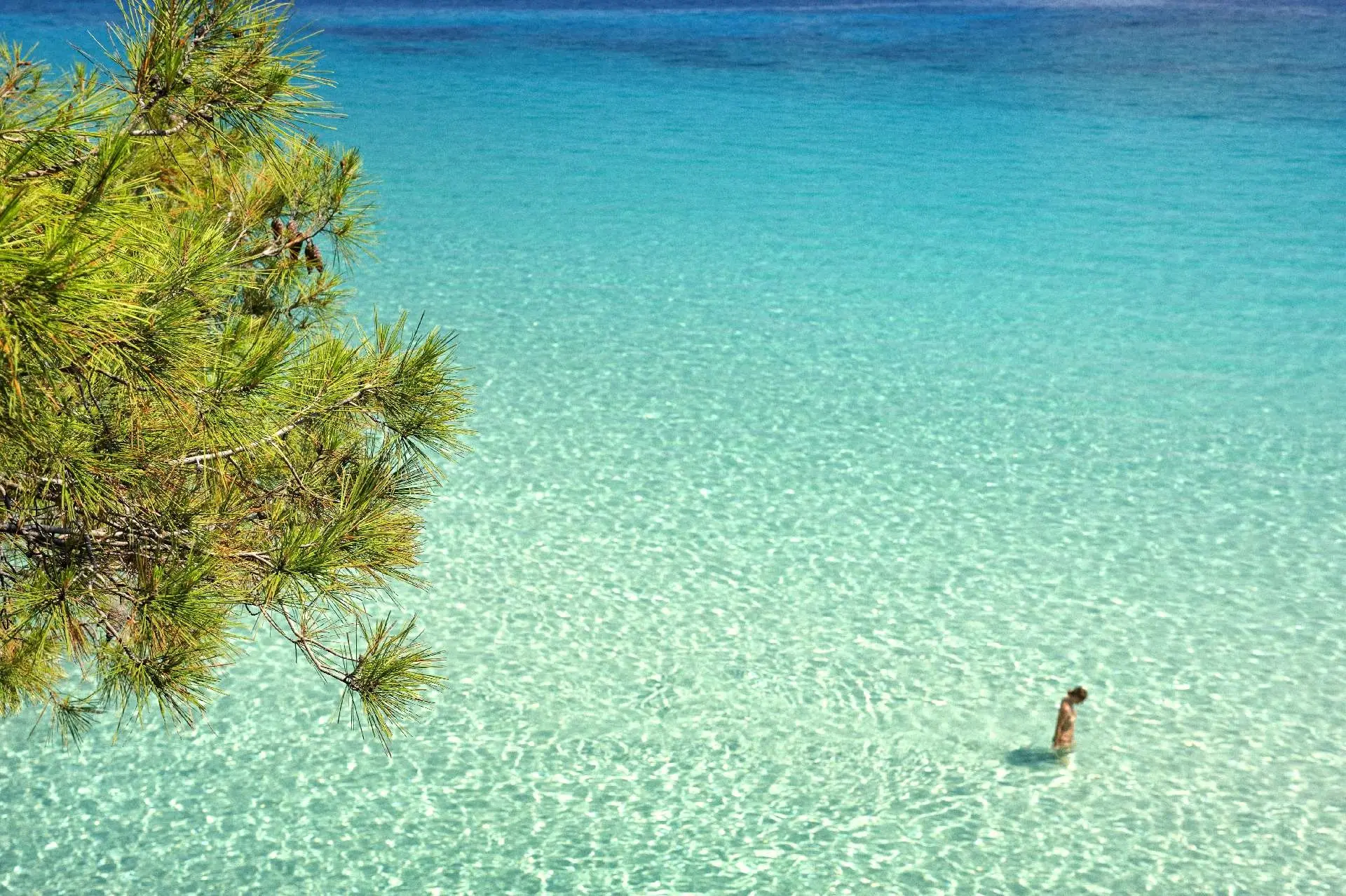Halkidiki, Greece gallery image 10
