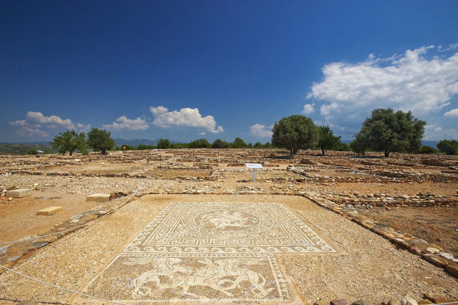 Halkidiki, Greece gallery image 14
