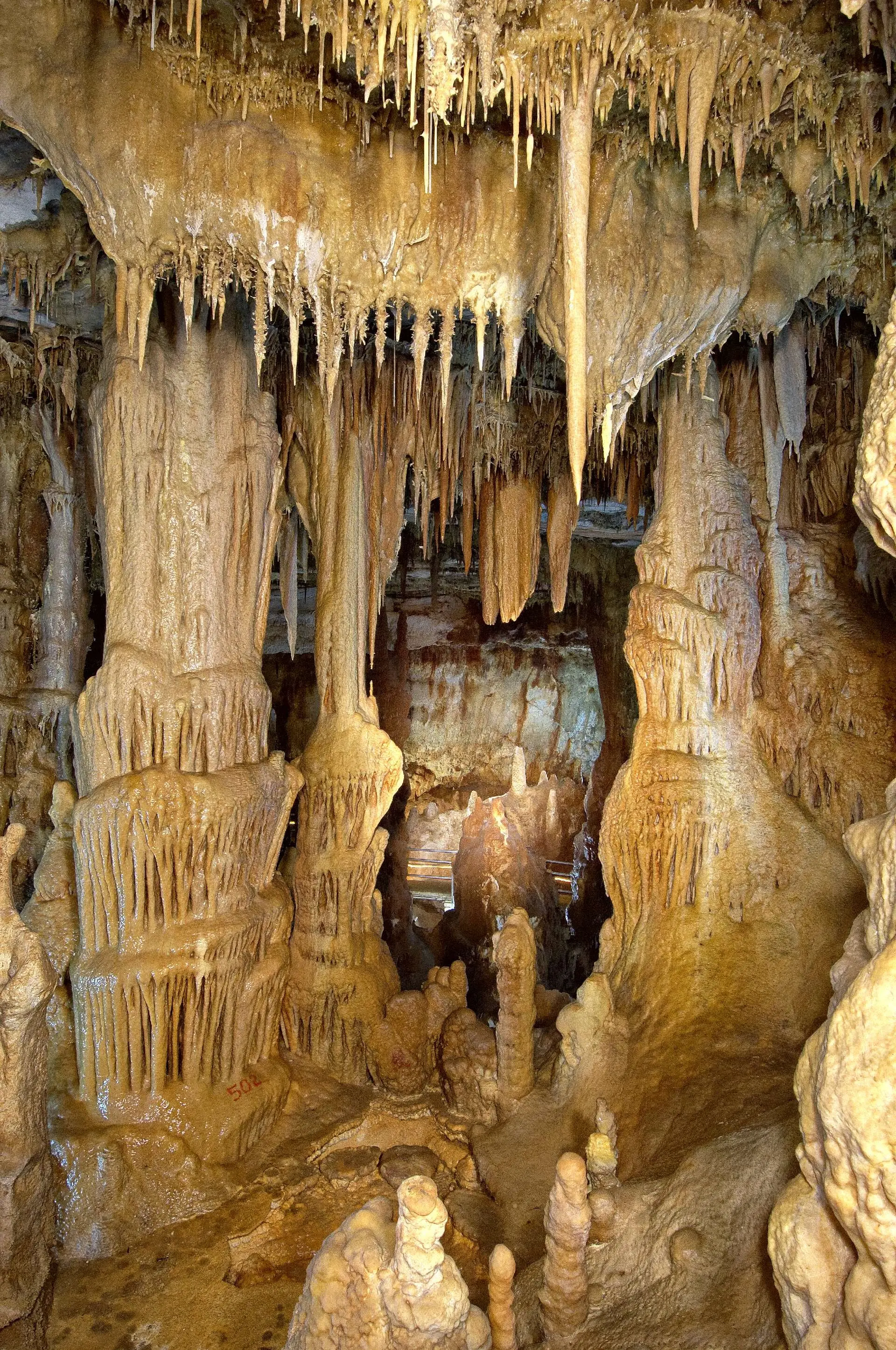 Halkidiki, Greece gallery image 16