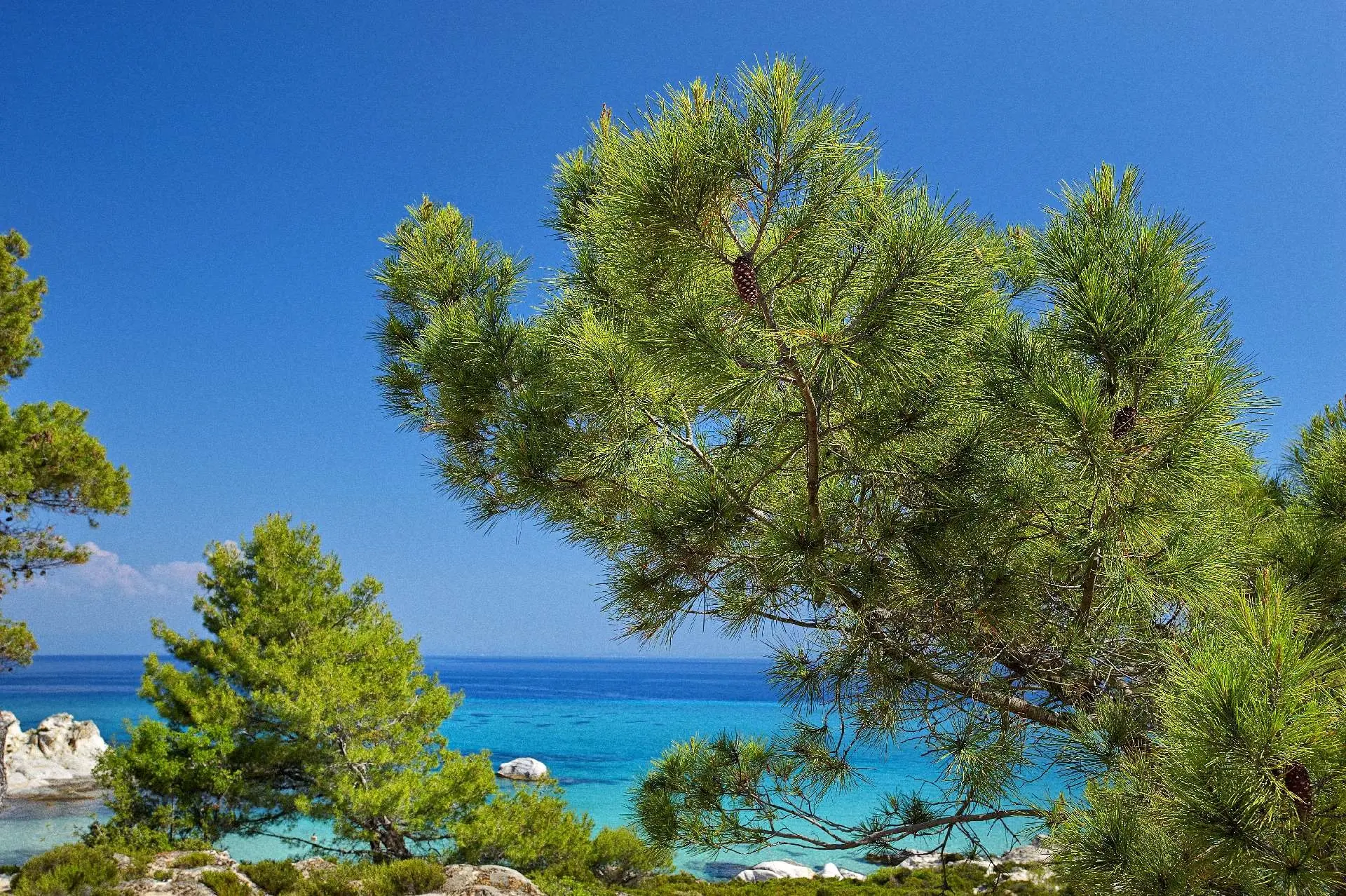Halkidiki, Greece gallery image 17