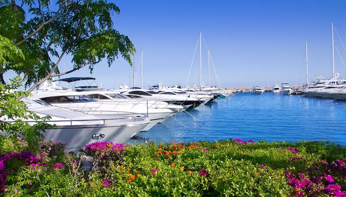 Majorca, Balearic Islands gallery image 5
