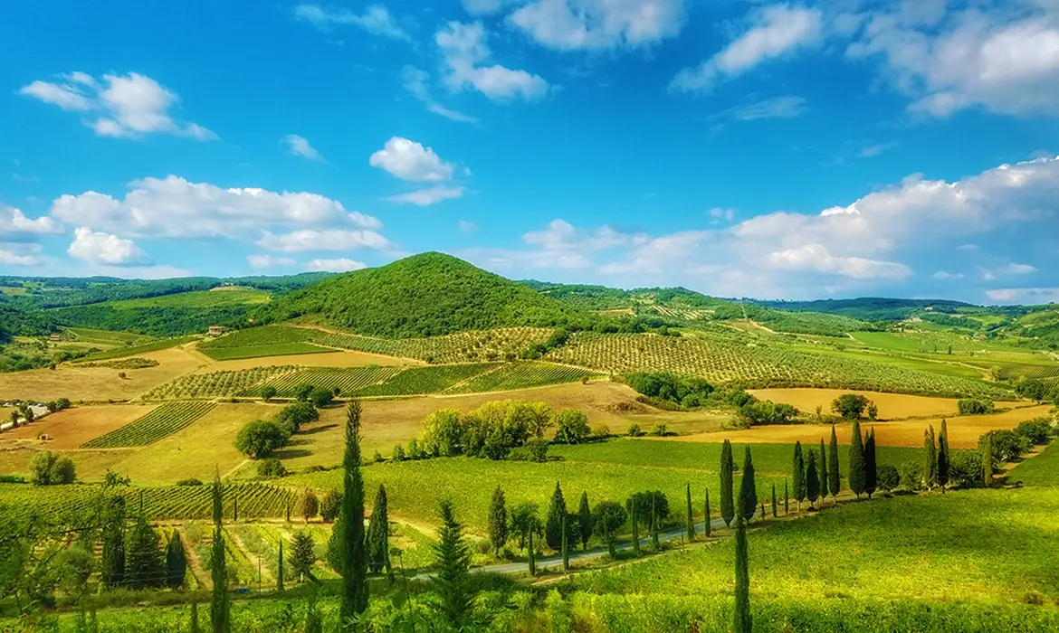 Tuscany, Italy gallery image 11