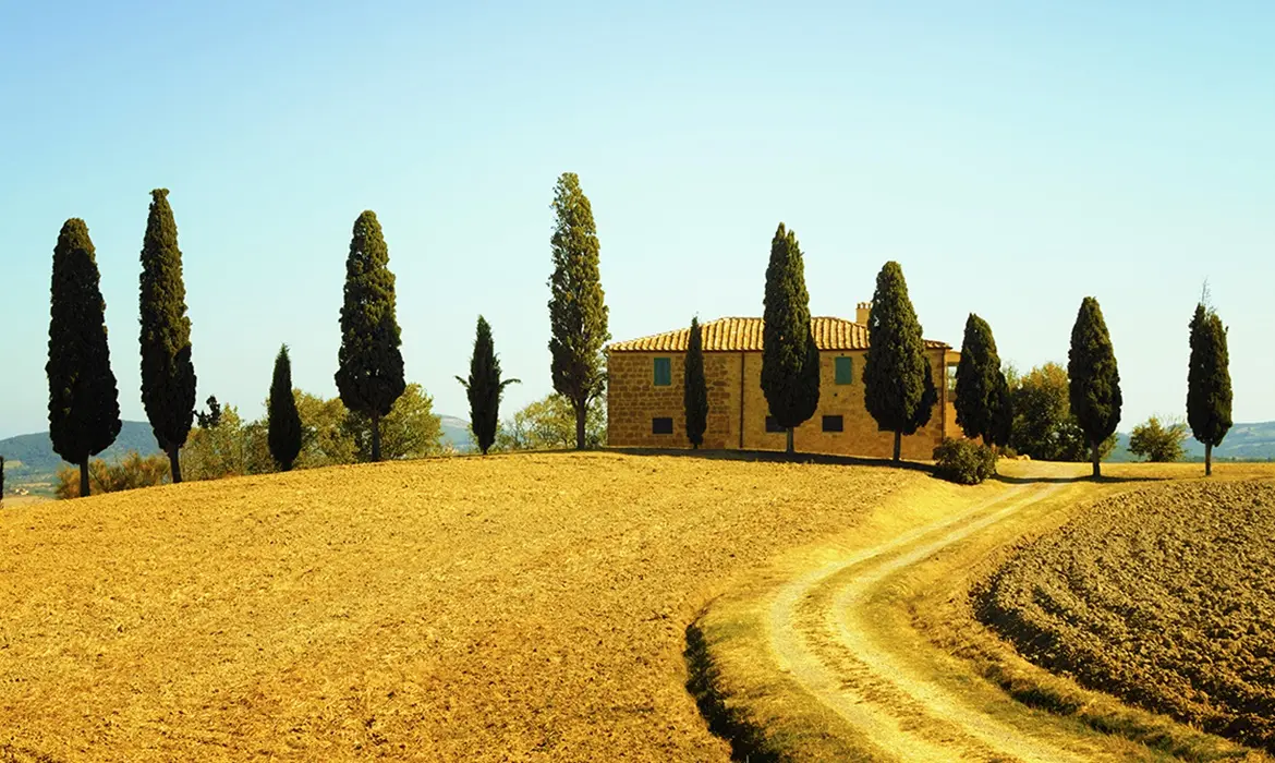 Tuscany, Italy gallery image 2