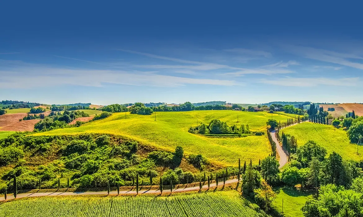 Tuscany, Italy gallery image 8