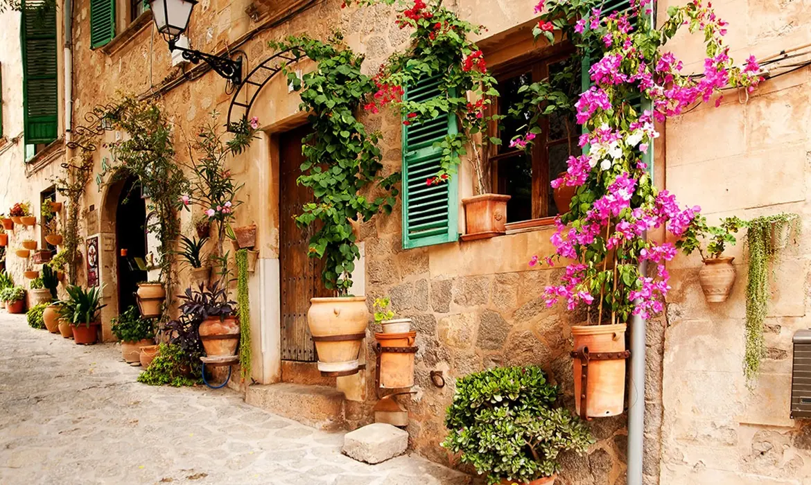 Palma City gallery image 3