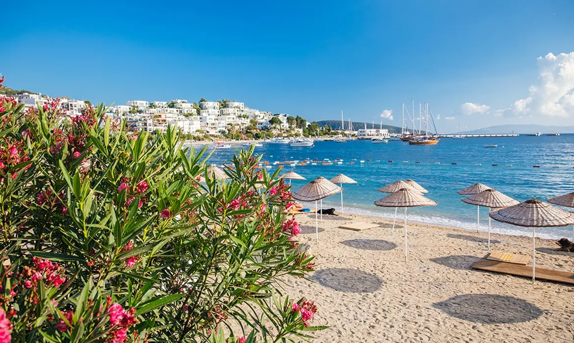 Bodrum gallery image 15