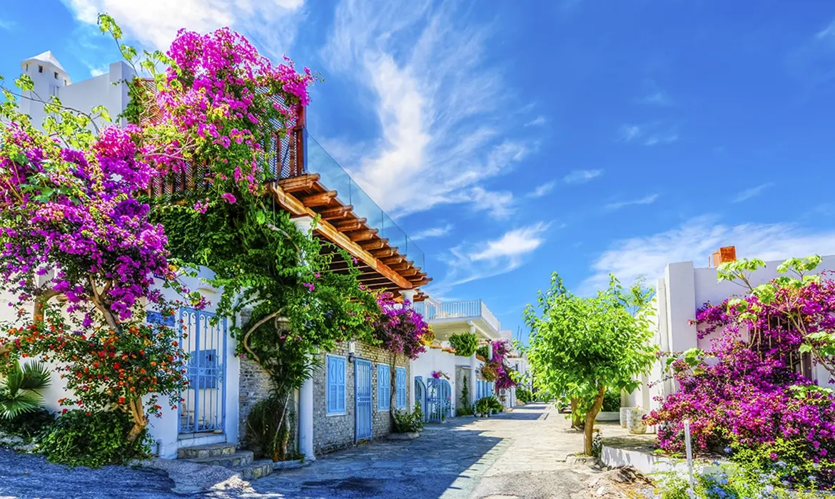 Bodrum gallery image 7