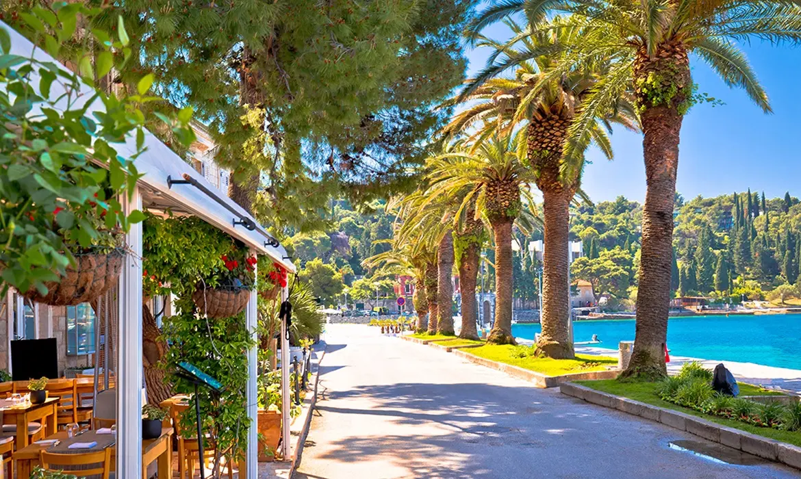 Cavtat gallery image 5