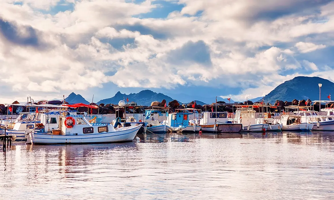 Turgutreis gallery image 3