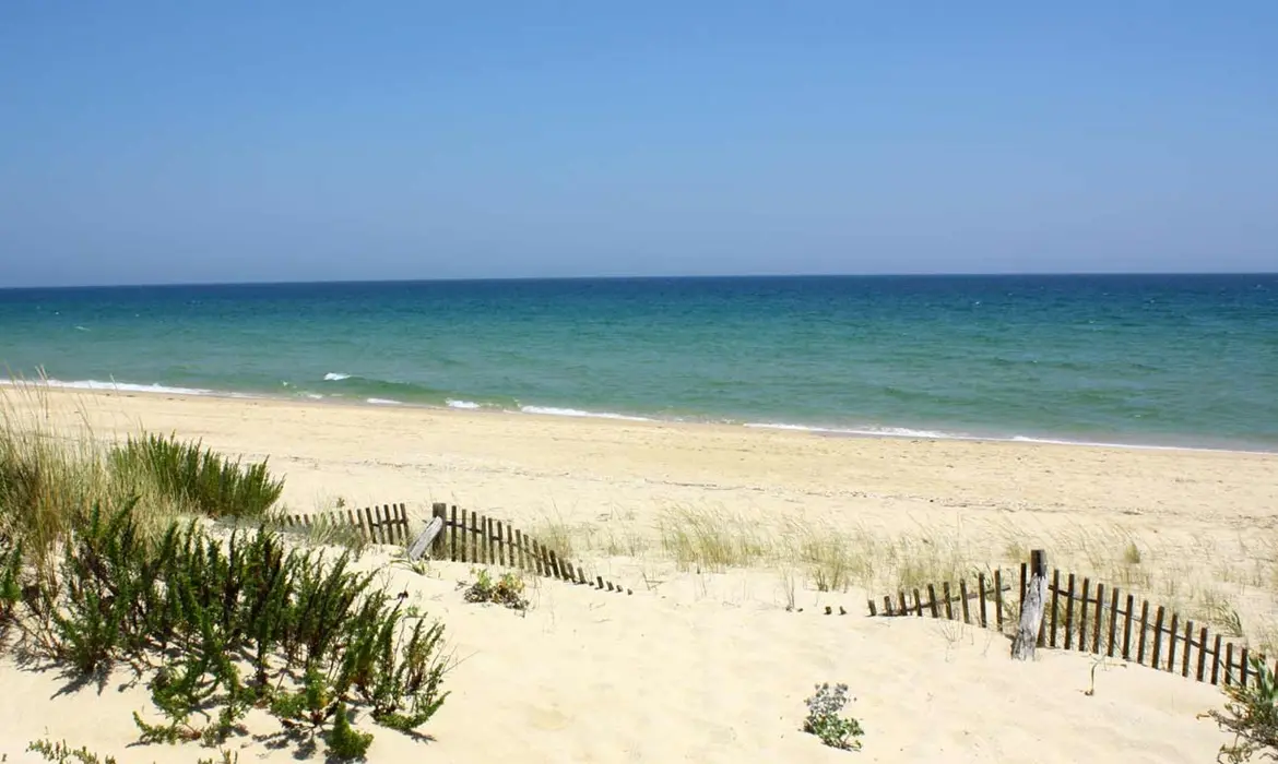 Tavira gallery image 7