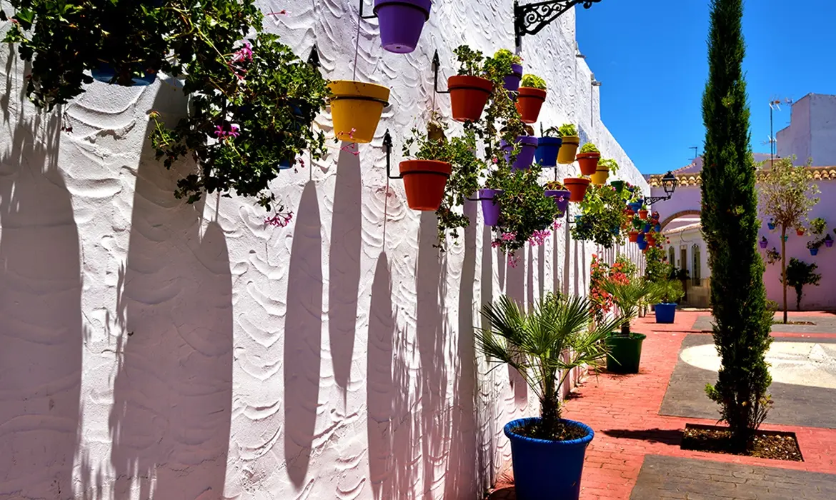 Estepona gallery image 11