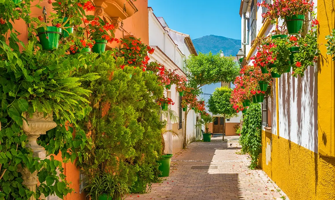 Estepona gallery image 12