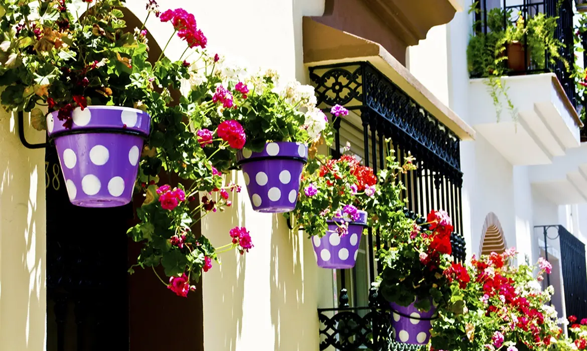 Estepona gallery image 3