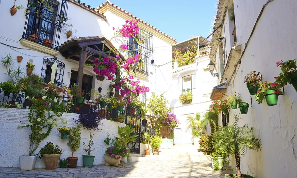 Estepona gallery image 7