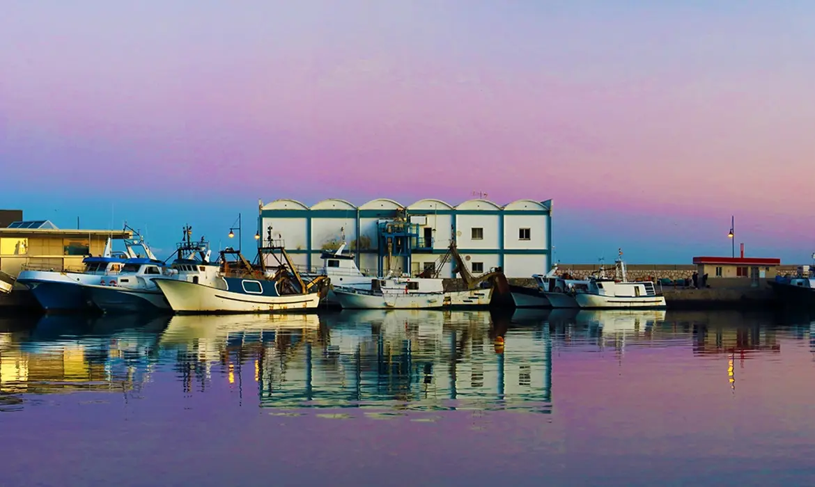 Estepona gallery image 8