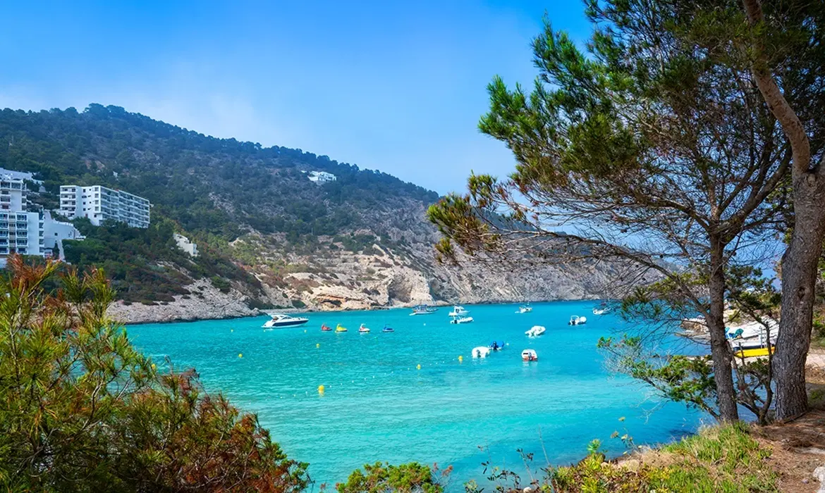 Cala Llonga gallery image 3