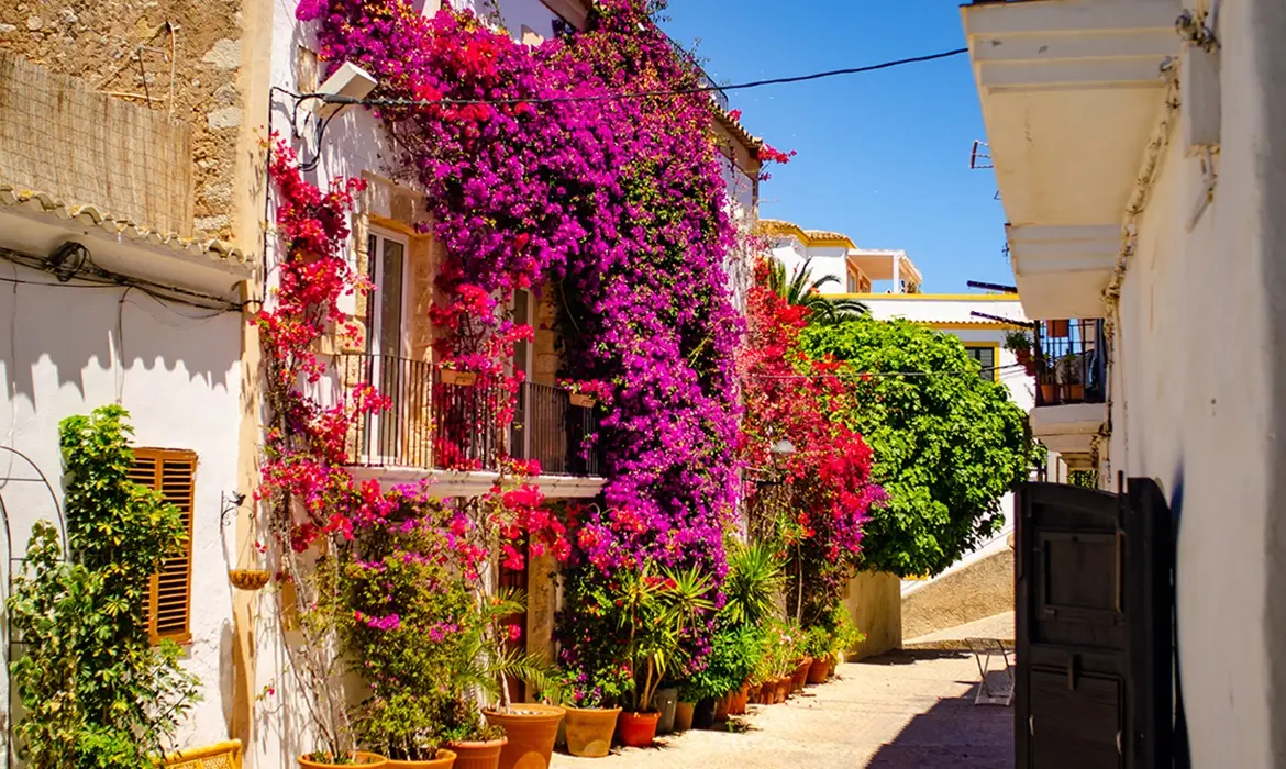 Ibiza Town gallery image 5