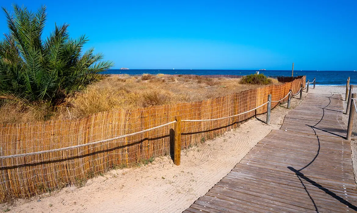 Playa den Bossa gallery image 6