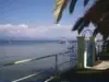 Kavos gallery image 3