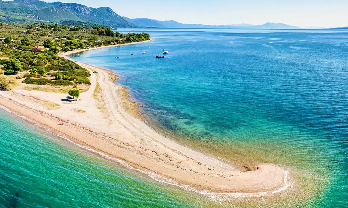 Kavos gallery image 9