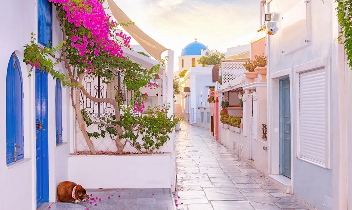 Mykonos Town gallery image 9