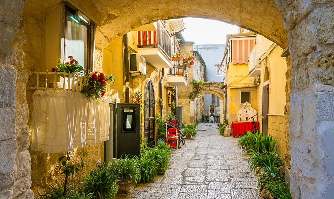 Bari gallery image 4
