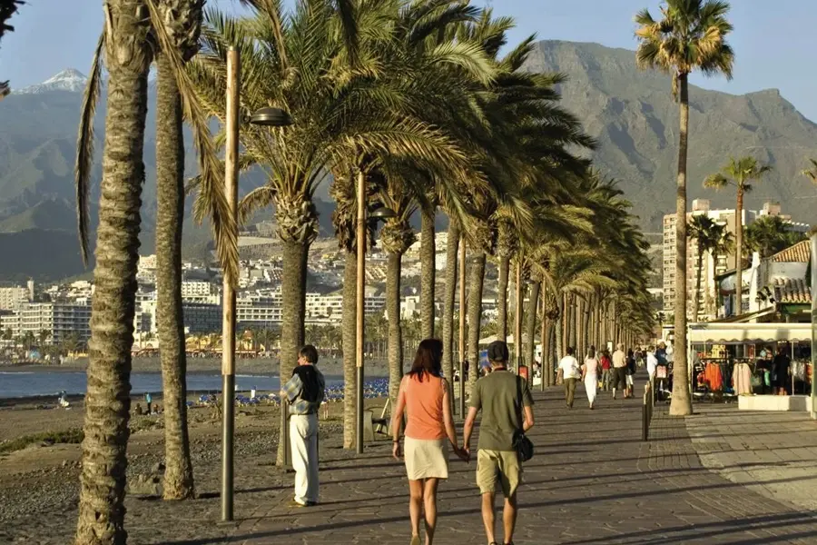 Playa de las Americas gallery image 2