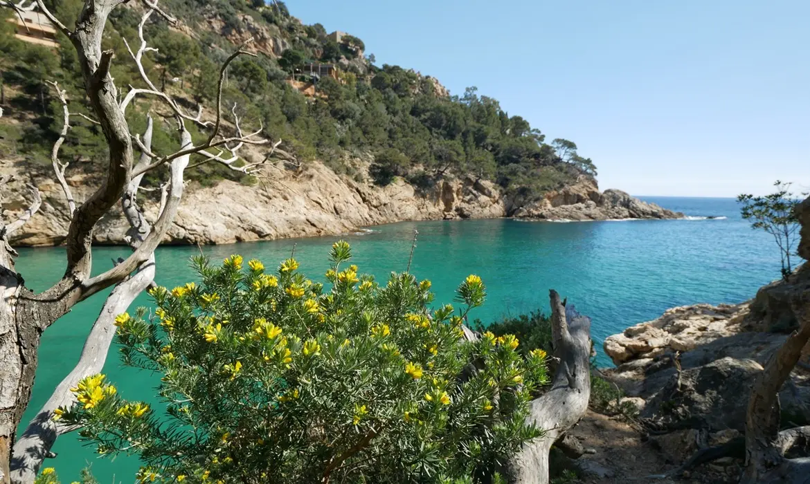 Tossa de Mar gallery image 10